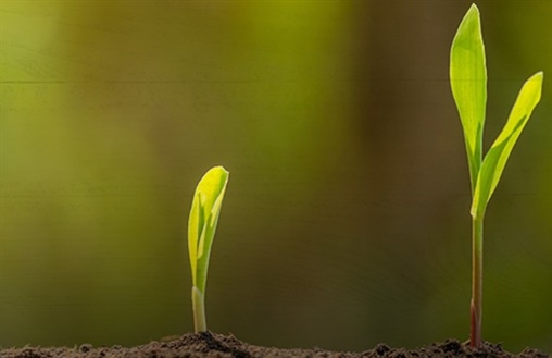 Setting SMART Goals for Your Farm’s Financial Growth