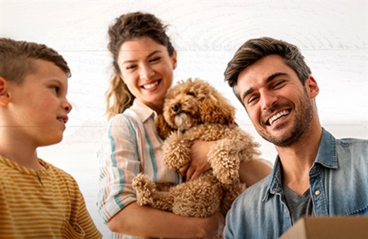 5 Smart Moves to Prepare for Your Next Home Loan