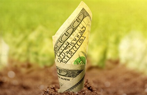 How Smart Financing Can Fuel Your Farm’s Growth This Season