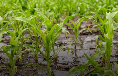 Staying Steady When Conditions Change Mid-Season