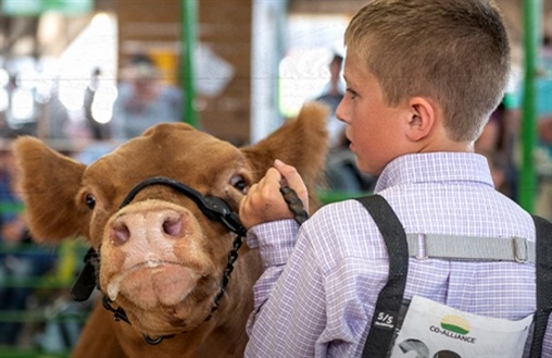 Why Local Agriculture Still Starts with Strong Communities