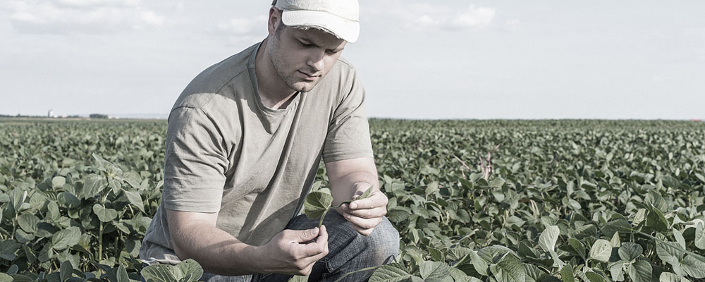 Agribusiness Crop Insurance