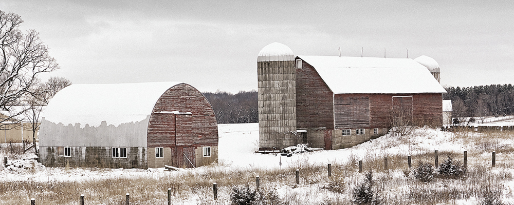 Agribusiness Savings