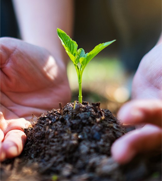 Inset-TeamWalking-Wheat-Field