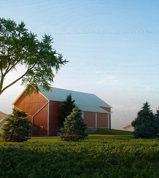 Hand holding credit card