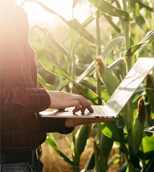 Inset-Farmer-Standing-in-Field-on-Laptop