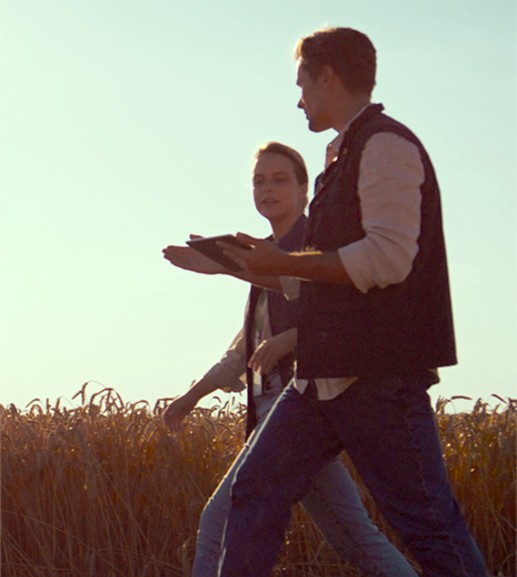 Inset-TeamWalking-Wheat-Field