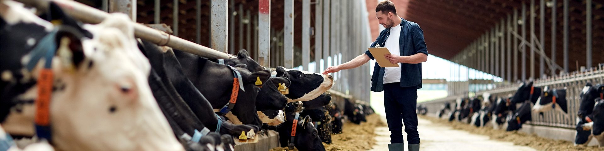 Business Lenders Hero